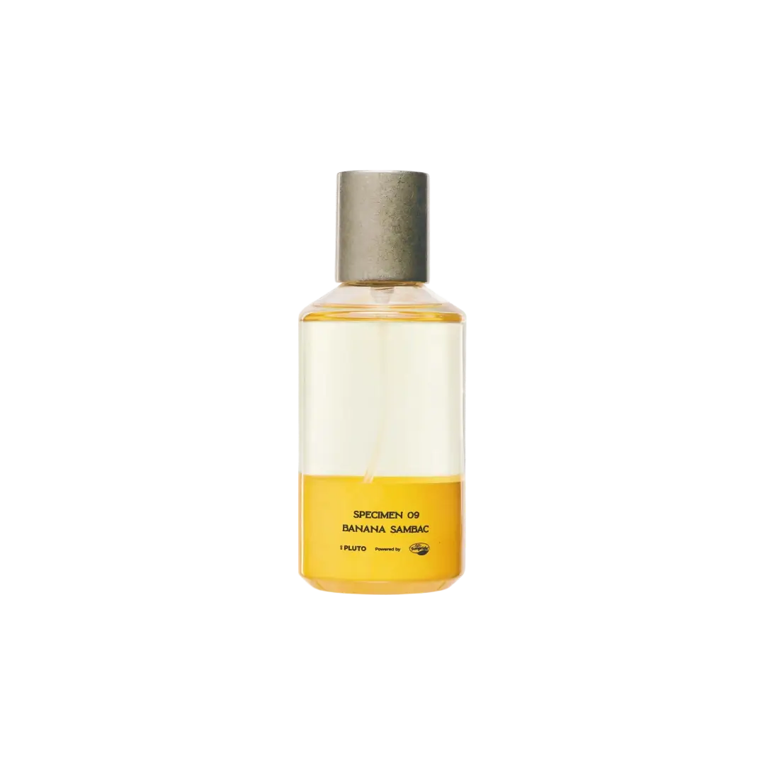 Banana sambac - Vanilla
